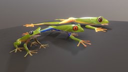 3 frogs university, frog, color, amphibian, geneva, psychology, 3dsmax, substance-painter
