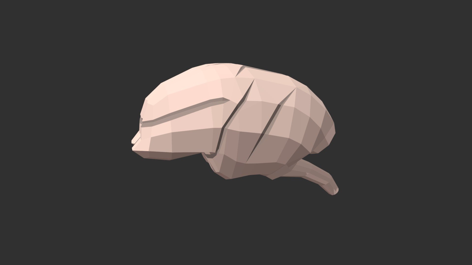 This is a low poly 3D model of a monkey-lemur brain. The low poly brain was modeled and prepared for low-poly style renderings, background, general CG visualization presented as one mesh with quads/tris.

Verts : 495 Faces : 522.

The 3D model have simple materials with diffuse colors.

No ring, maps and no UVW mapping is available.

The original file was created in blender. You will receive a 3DS, OBJ, FBX, blend, DAE, Stl, glTF.

All preview images were rendered with Blender Cycles. Product is ready to render out-of-the-box. Please note that the lights, cameras, and background is only included in the .blend file. The model is clean and alone in the other provided files, centred at origin and has real-world scale 3d model