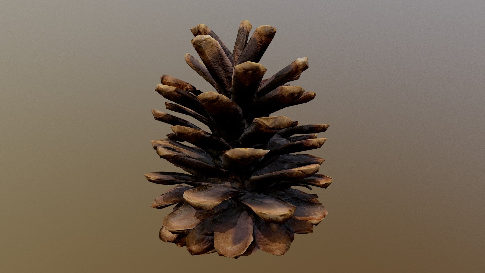 Learn more about Unity's Delighting Tool: http://blog.sketchfab.com/unity-photogrammetry-de-lighting-workflow - Unity Delighting Tool: Pine Cone - 3D model by Unity Technologies (@unity3d) 3d model
