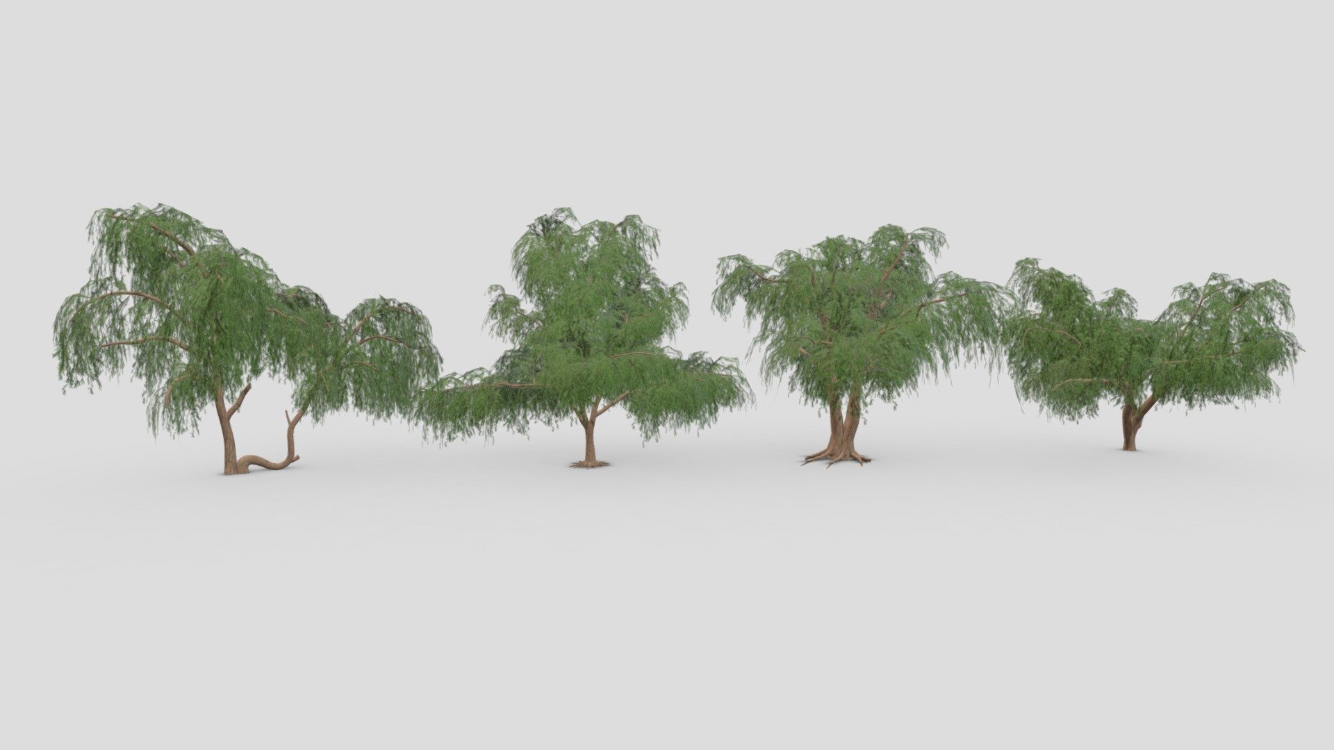 This is a low poly 3D Model collection of the Prosopis tree. This collection contains 4 3D Models of the Prosopis tree. I tried to provide you a low poly collection of the Prosopis Tree, you can use that in your projects 3d model