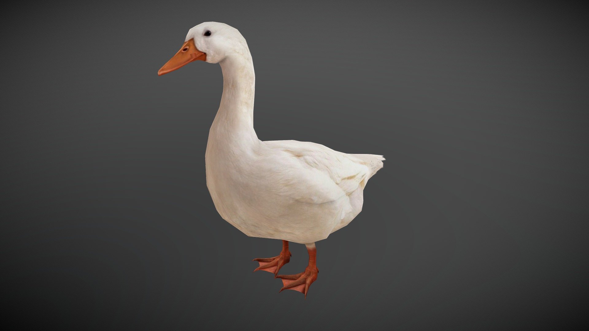 WATCH = https://youtu.be/KtcwoV-2SMk

3D Realistic White Duck with Animations

PACKAGE INCLUDE


High quality polygonal model, correctly scaled for an accurate representation of the original object.
Model is built to real-world scale.
Many different format like blender, fbx, obj, iclone, dae
No additional plugin is needed to open the model.
3d print ready in different poses
Separate Loopable Animations
Ready for animation
High Quality materials and textures
Triangles = 1628
Vertices = 856
Edges = 2485
Faces = 1628

ANIMATIONS


Idle
Walk
Eat

3D PRINT POSES ( STL  OBJ )


Stand
Look Up
Look Down
Side Look
Eat
Walk
 - Duck Animated - Buy Royalty Free 3D model by Bilal Creation Production (@bilalcreation) 3d model