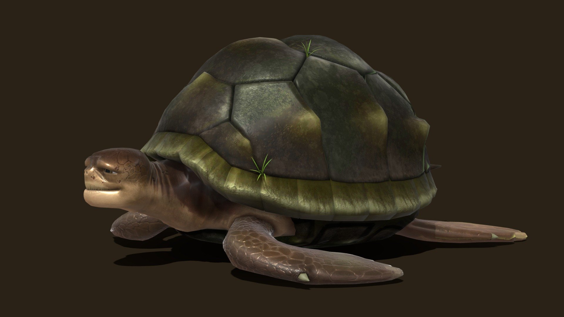 turtle - Buy Royalty Free 3D model by ostrich (@gohean33) 3d model