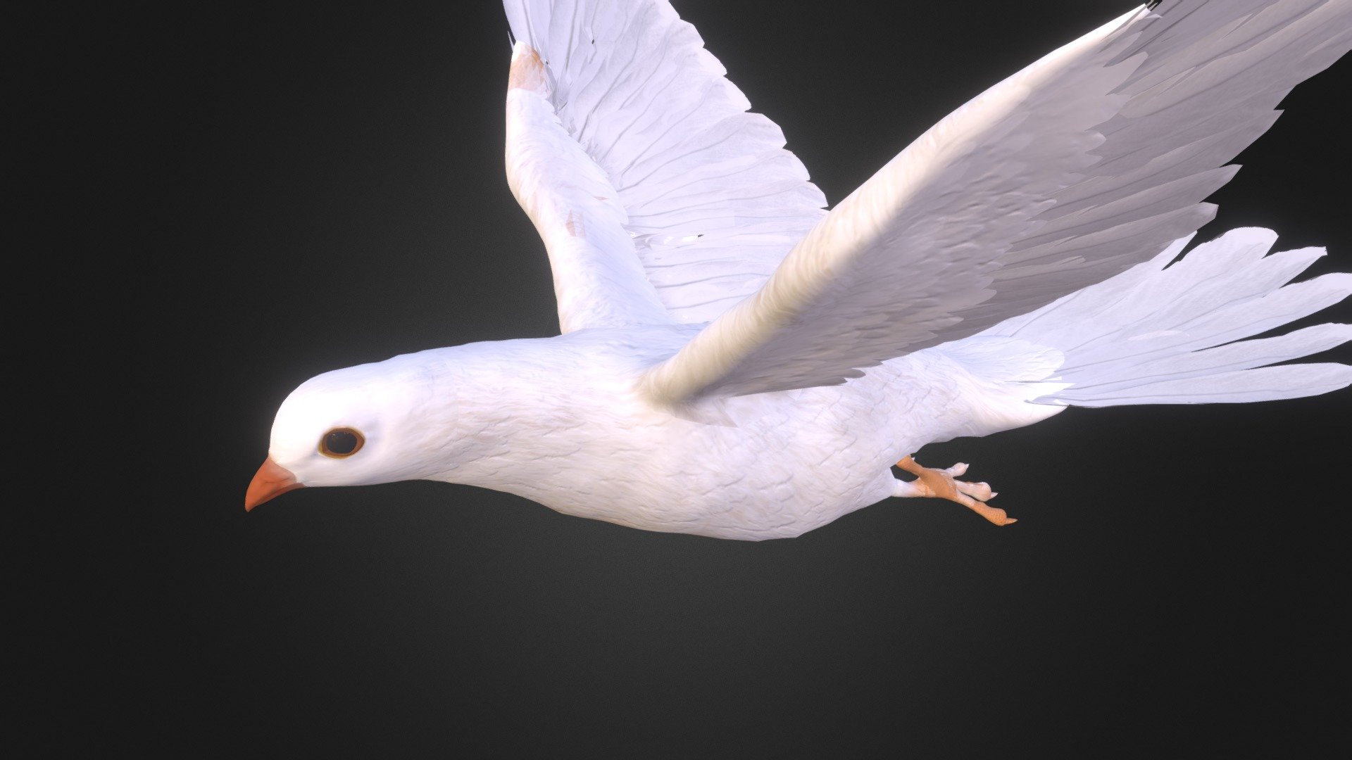 Dove Animation 8 - 3D model by Otniel (@htmotniel) 3d model