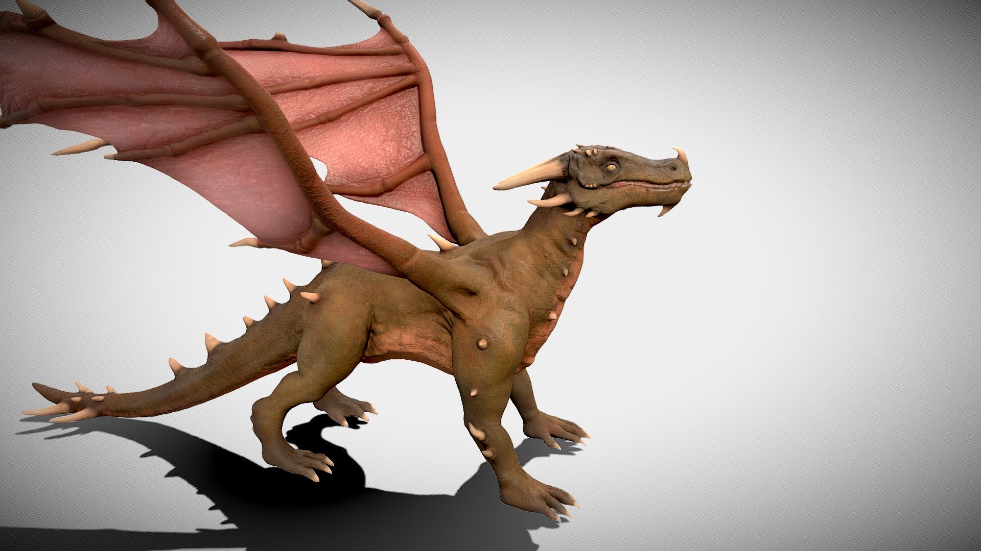 The Dragon model, has several base animations in ,, Take
