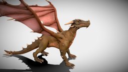 Dragon beast, flying, rpg, games, pet, animals, predators, medieval, wyvern, mob, epic, boss, enemy, game, creature, monster, fantasy, video, dragon
