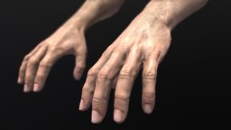 PBR FPS Hands anatomy, avatar, fps, bodyscan, shooting, handpainted, 3d, pbr, gameasset, zbrush, human, hand, gameready