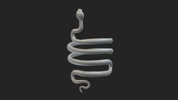 Snake Bracelet 3D Print stl, jewellery, printing, arm, jewelry, cobra, snake, silver, obj, spiral, reptile, printable, sculptures, 3d, art, decoration, bracelet