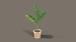 Bamboo palm plant office, green, plant, pot, garden, palm, dish, leaf, bamboo, stylised, greenhouse, nature, officeplant, plant-pot, pbr-texturing, pbr, lowpoly, leaves, interior