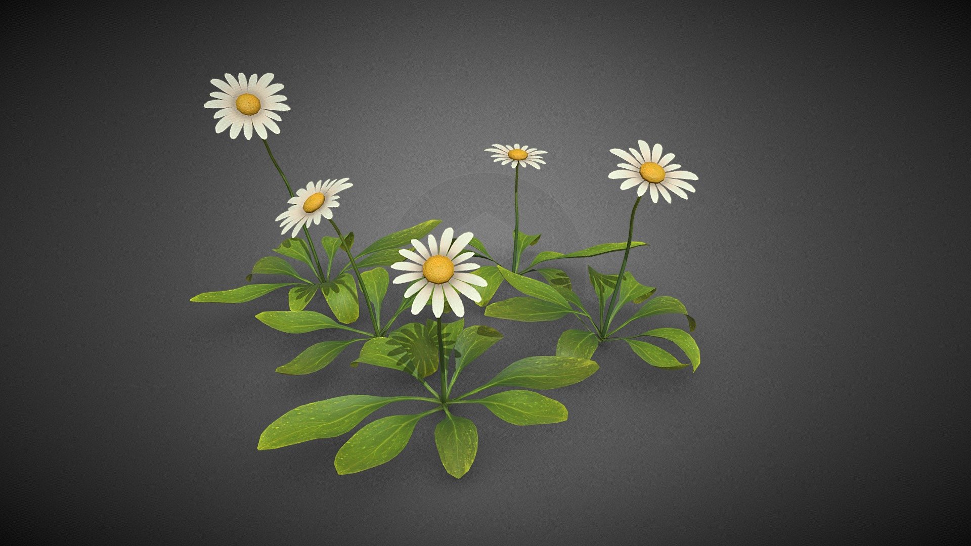 Flower plant - Flower plant - Buy Royalty Free 3D model by misitewang 3d model