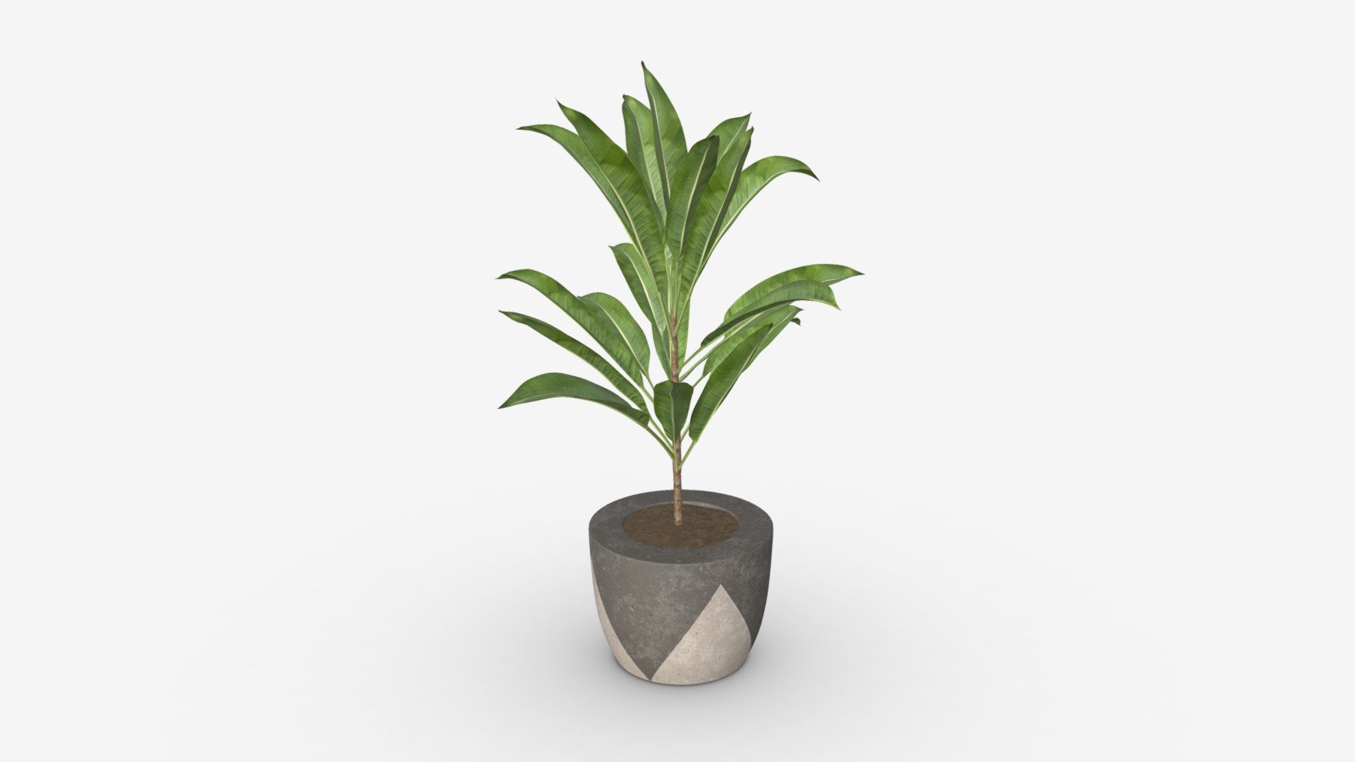 Artificial plant 04 - Buy Royalty Free 3D model by HQ3DMOD (@AivisAstics) 3d model