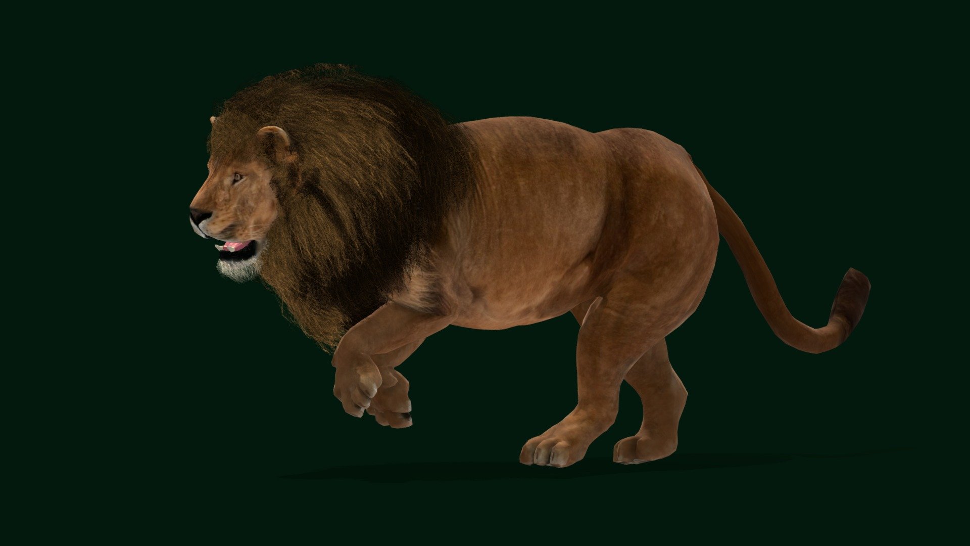 Male African lion ,Mr. Big (Large cat) Animalia,Endangered 

Panthera leo melanochaita Animal Mammal ( Omaha's Henry Doorly Zoo) Carnivora ,Felidae

3 Draw Calls

Game Ready Asset

Subdivision Surface Ready

9 Animations

4K PBR Textures Materials

Unreal FBX (Unreal 4,5 Plus)

Unity FBX

Blend File 3.6.5 LTS

USDZ File (AR Ready). Real Scale Dimension (Xcode ,Reality Composer, Keynote Ready)

Textures Files

GLB File (Unreal 5.1 Plus Native Support)


Gltf File ( Spark AR, Lens Studio(SnapChat) , Effector(Tiktok) , Spline, Play Canvas,Omiverse ) Compatible




Triangles -41471



Faces -28256

Edges -59553

Vertices -32409

Diffuse, Metallic, Roughness , Normal Map ,Specular Map,AO
A male African lion named Mr. Big at Omaha's Henry Doorly Zoo and Aquarium.  is listed as vulnerable by IUCN. Panthera leo melanochaita is a lion subspecies in Southern and East Africa. In this part of Africa, lion populations are regionally extinct in Lesotho, Djibouti and Eritrea, and are threatened by loss - Male African Lion (Mr.Big) Endangered - Buy Royalty Free 3D model by Nyilonelycompany 3d model
