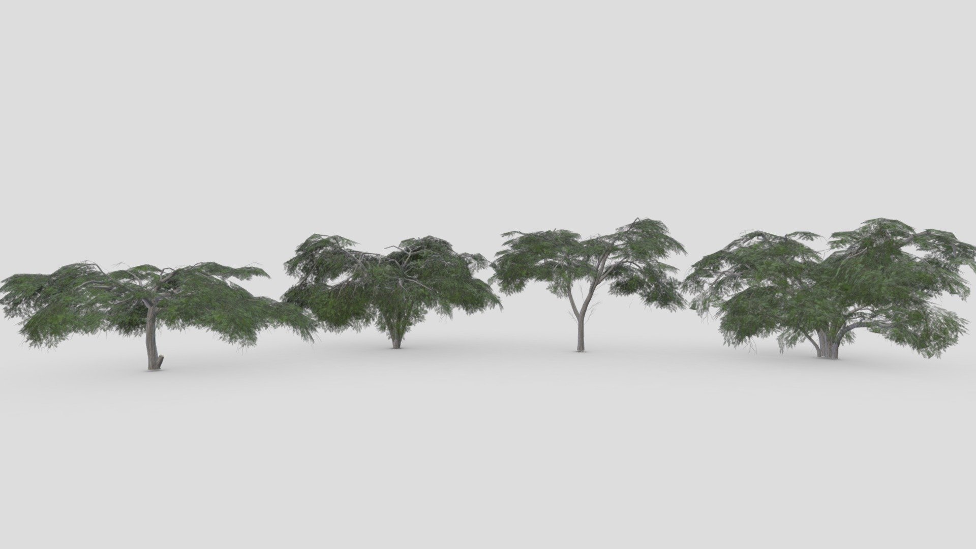 I tried to work on Acacia Tree 3D model. This is a 3D low poly pack of Acacia Tree. This 3D low poly collection contains 4 3D models of Acacia Tree 3d model
