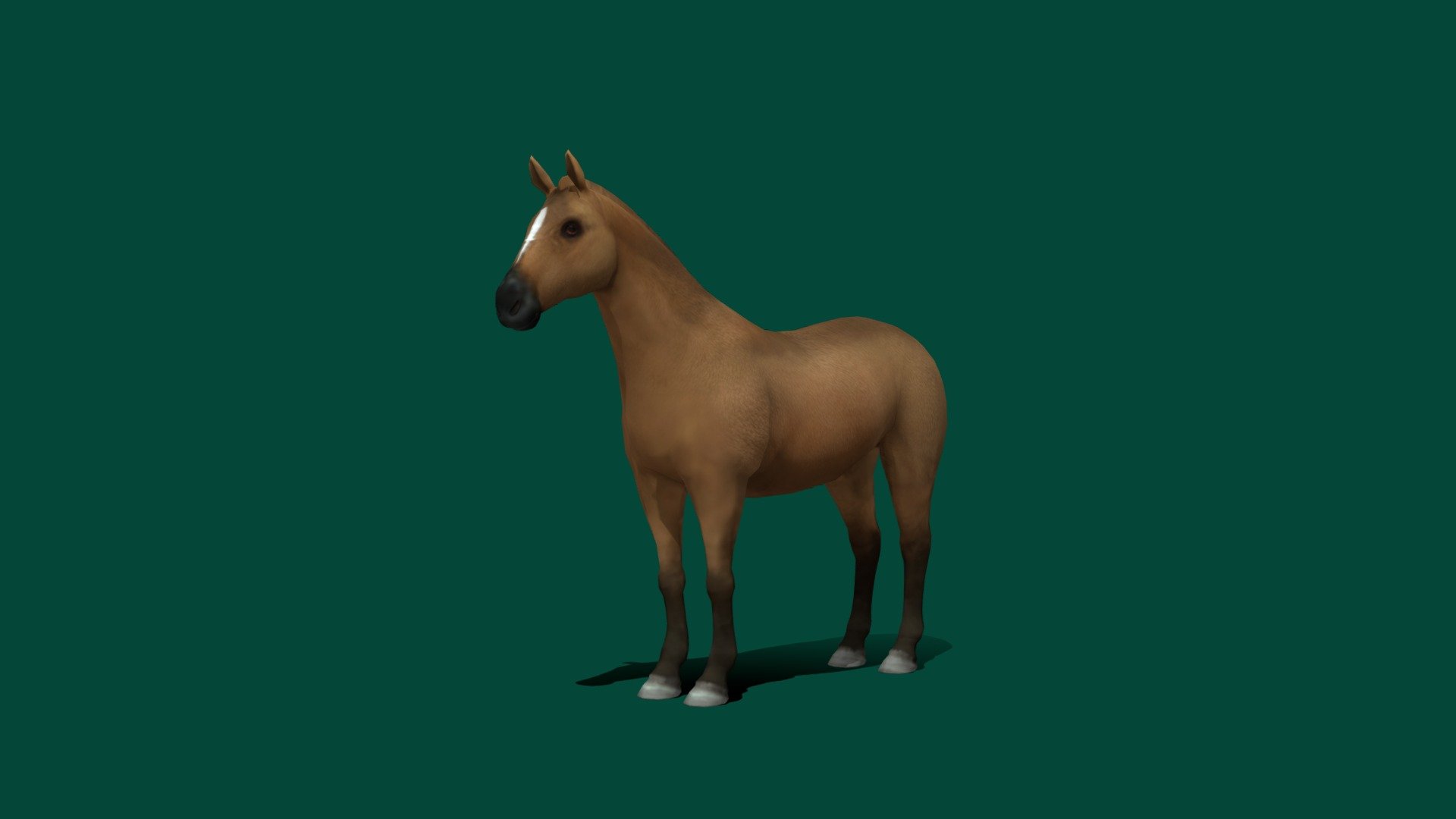 Arabian Horse (Arab Horse ) 

Equus ferus caballus Mammal Animal   (Low poly)

1 Draw Calls

Gameready

13 Animations

4K PBR Textures Material

Unreal FBX

Unity FBX  

Blend File 

USDZ File (AR Ready). Real Scale Dimension

Textures Files

GLB File

Gltf File ( Spark AR, Lens Studio(SnapChat) , Effector(Tiktok) , Spline, Play Canvas ) Compatible

Triangles: 5016
Vertices: 2529
 Diffuse , Metallic, Roughness , Normal Map ,Specular Map,AO
The Arabian or Arab horse is a breed of horse that originated on the Arabian Peninsula. With a distinctive head shape and high tail carriage, the Arabian is one of the most easily recognizable horse breeds in the world. 
Origin: Middle East
Scientific name: Equus ferus caballus
Color: Bay, black, chestnut, or gray. Occasional dominant white, sabino, or rabicano patterns
Distinguishing features: Finely chiseled bone structure, concave profile, arched neck, comparatively level croup, high-carried tail - Arabian Horse (LowPoly) - Buy Royalty Free 3D model by Nyilonelycompany 3d model