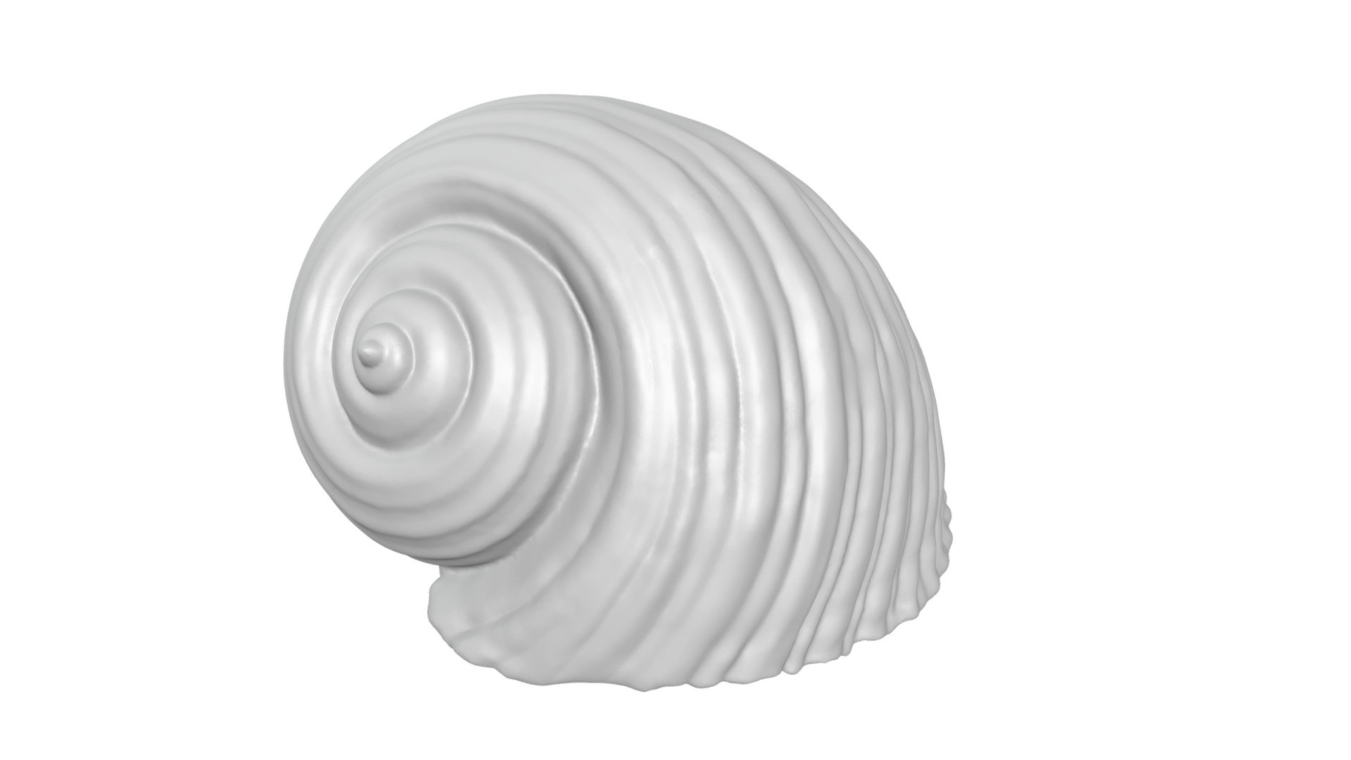 Shell - seashell - conch - sea 

STL Model for 3D Printing.

Contact me for any question.

Came to see my other work.

If you get this model, I encourage you to give me feedback, just send me a message on instagram, I’d very happy to help or hear your feedback and pictures :)

For other custom products, please contact me, I would be glad to help you, I accept non or exclusive commissions.

If you like my art, please support me by purchasing my models, or following me on social media:

Instagram: https://www.instagram.com/animaartistspieces/

TikTok: https://www.tiktok.com/@animaartistspieces?lang=it

Facebook: https://www.facebook.com/profile.php?id=100087530776989

WEBSITE: https://www.animacampania.it/site/

Linktree: https://linktr.ee/animaartistspieces - Shell - seashell - conch - Buy Royalty Free 3D model by Anima artist's pieces (@animaartistspieces) 3d model