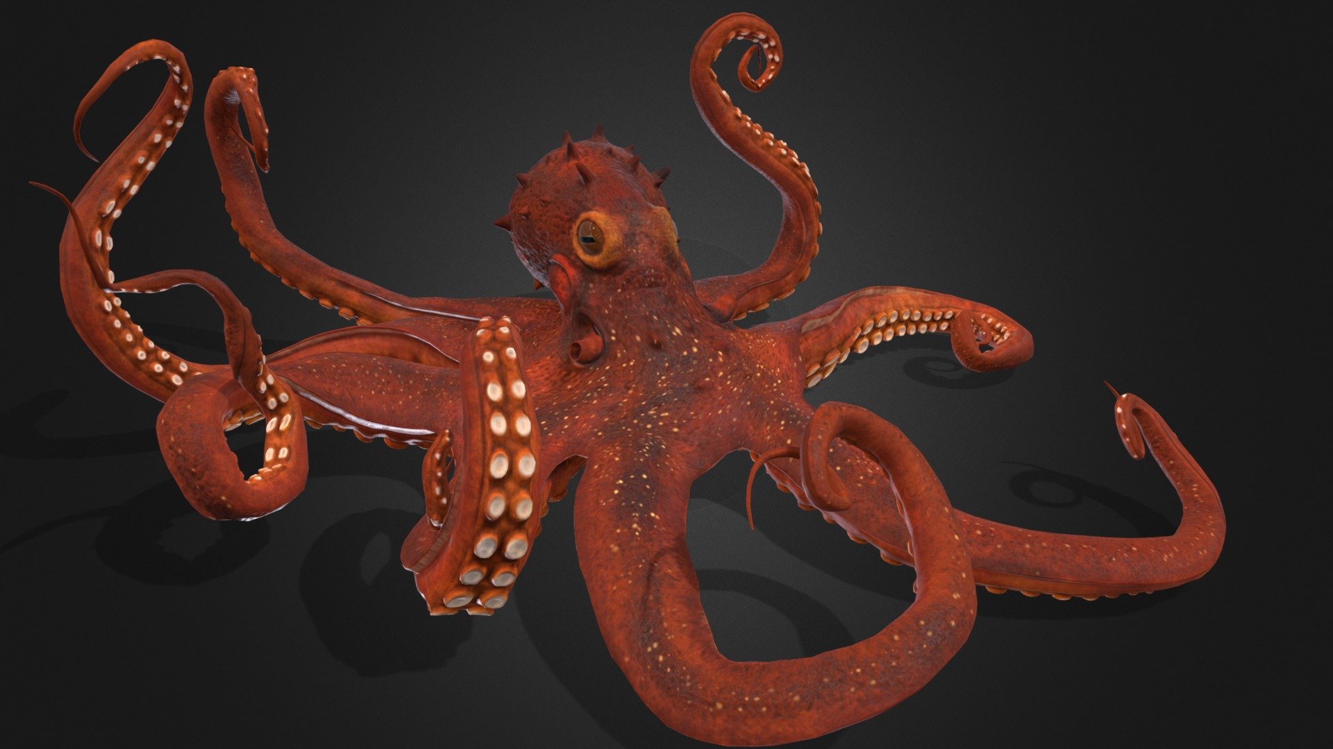 High quality Octopus - High quality Octopus - Download Free 3D model by Al-Deezel (@Al-dezel) 3d model