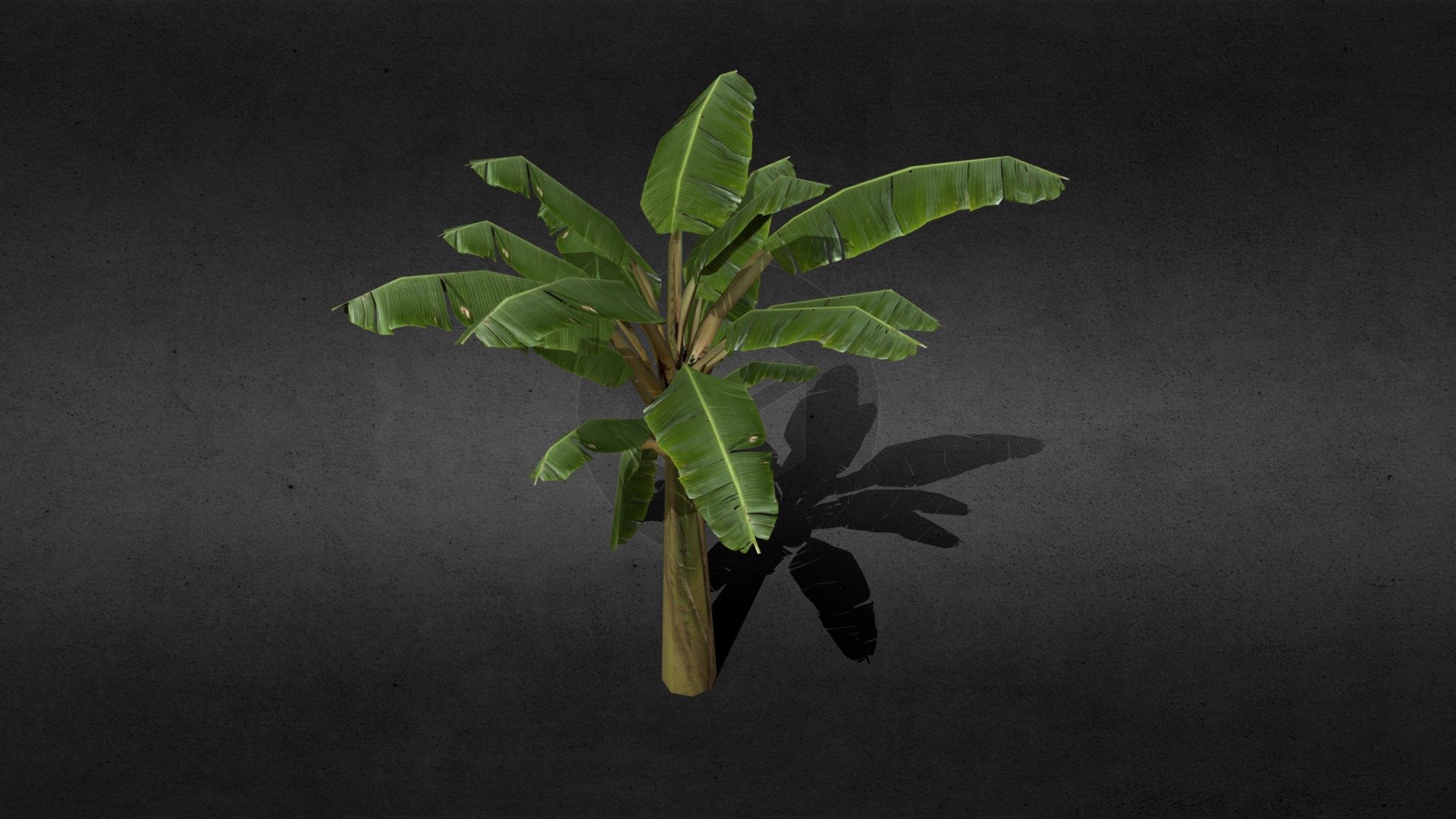 project made for game - Tree Banana - 3D model by Jeferson Porto Bergmam ( OPEN FOR JOBS) (@Jeferson.Bergmam.Modelador) 3d model