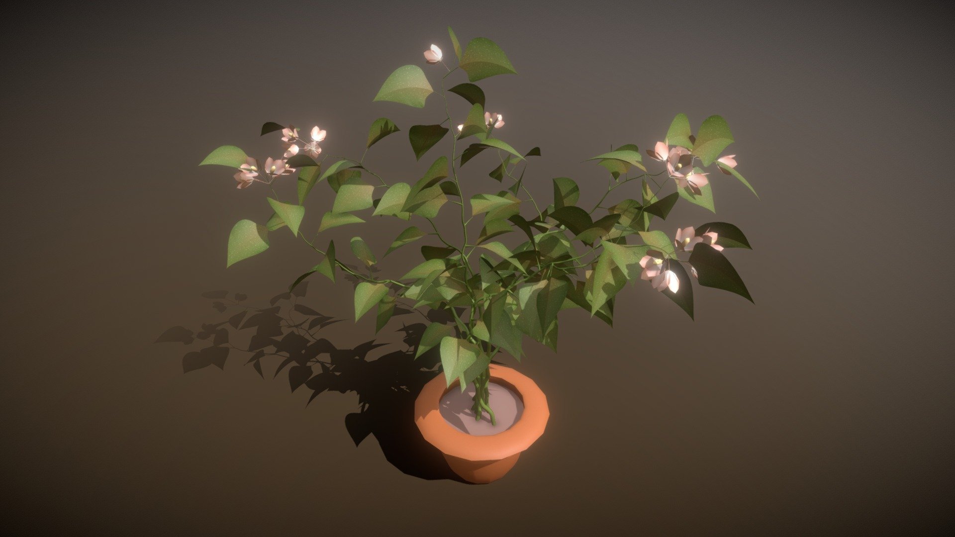 This time, I made simple, but yet attractive (I think) model of Begonia, which actually grow at little pot, on one of my window ledges. 
As a most of my models, this made with 3DS Max 2010 Design + Exlevel GrowFX. This time I used 7 materials, including 2 composite, and 6 standard 3d model