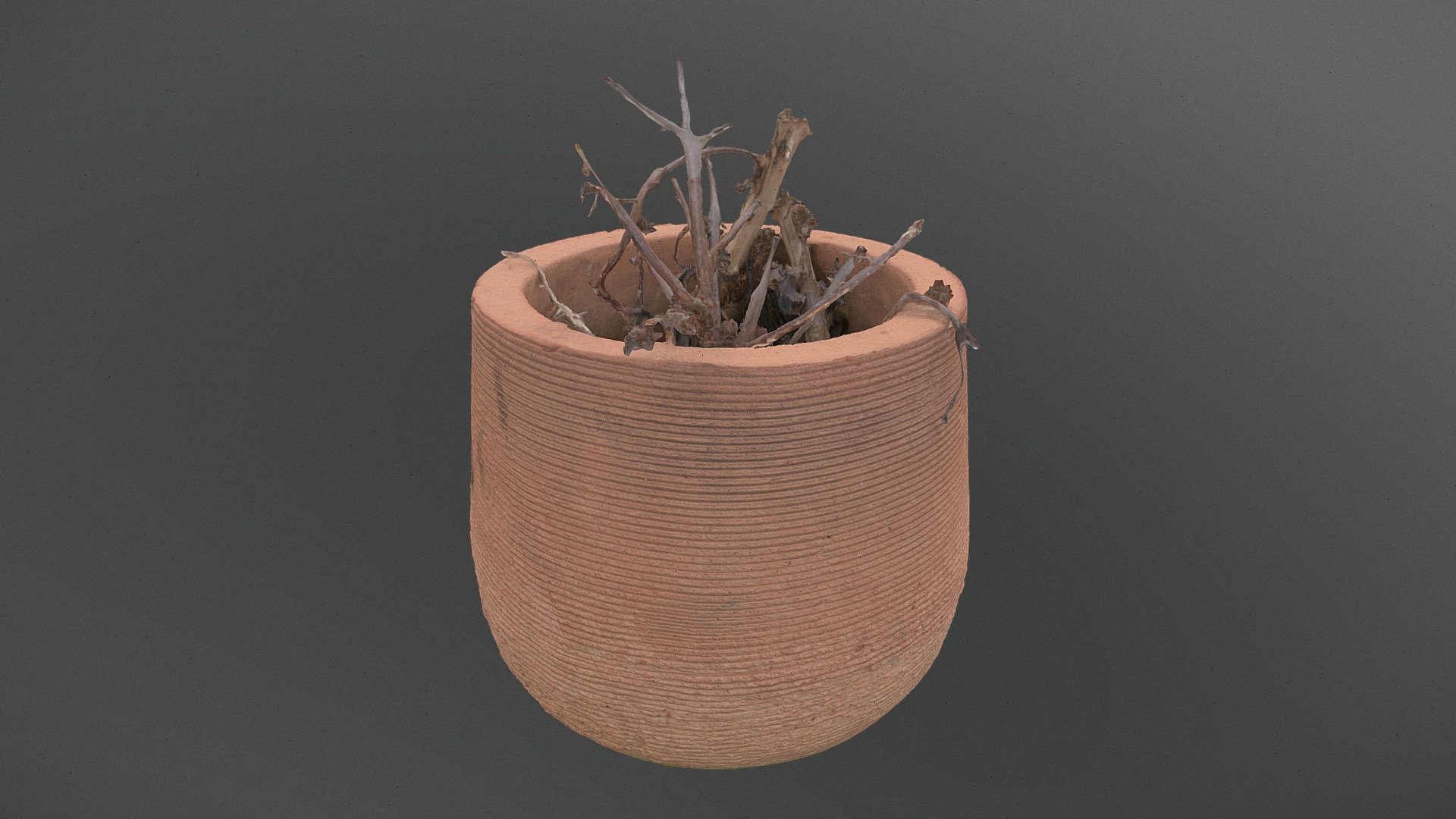 Dead dry plant with small spines sucullent, in small terracotta flower pot planter with rounded circular decor

photogrammetry scan (160x36mp), 1x8k texture + normals - Circular planter - Buy Royalty Free 3D model by axonite 3d model