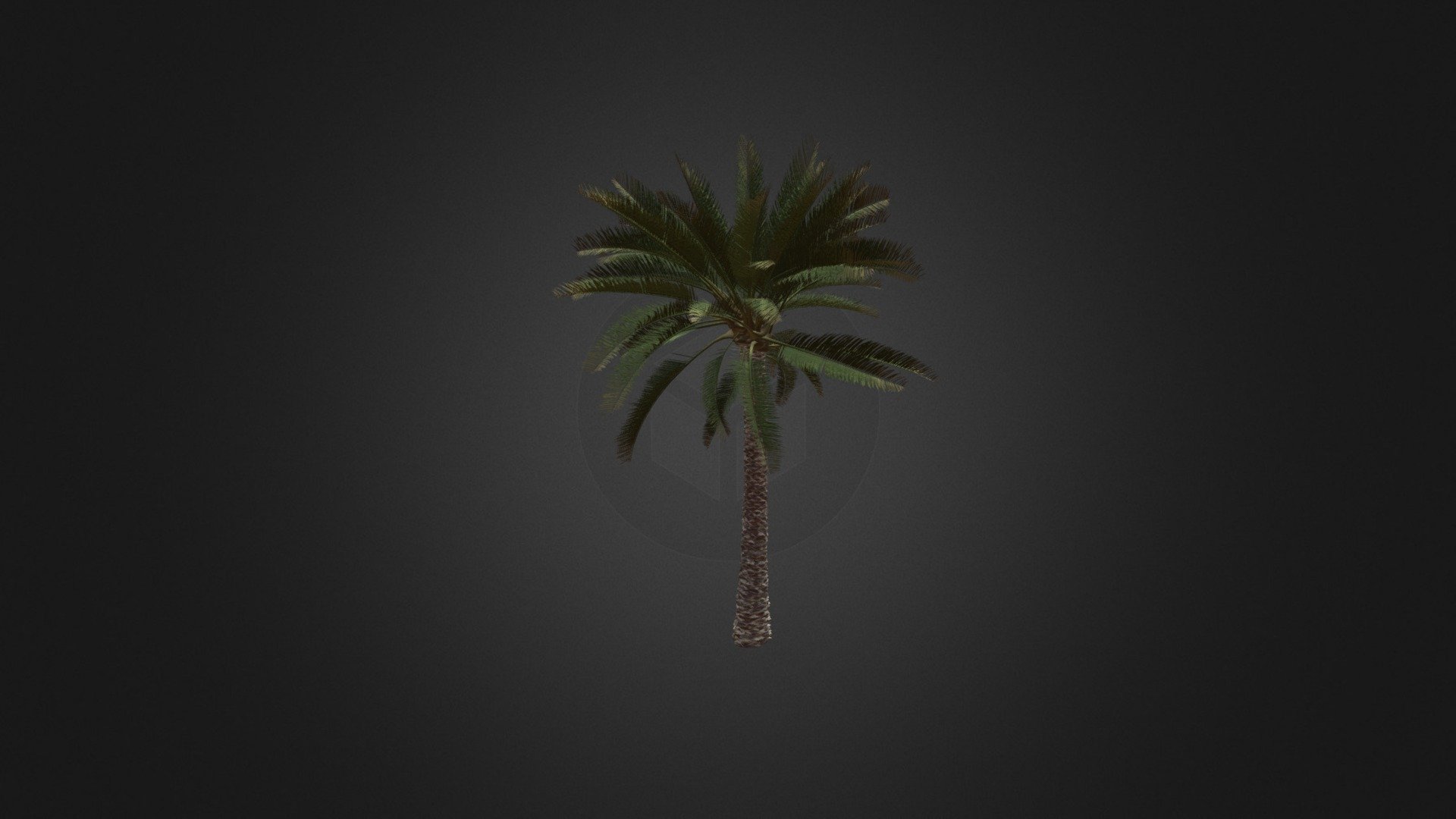 3d model of straight palm tree. Compatible with 3ds max 2010 or higher and many others 3d model