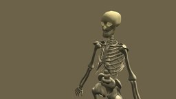 Low Poly Skeleton skulls, skeleton, spine, skeletons, ribcage, spines, skull-3d, skull