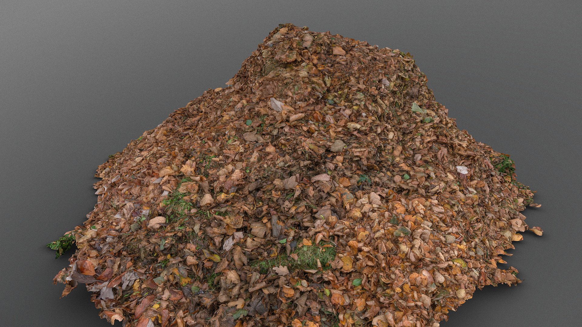 Fallen Leaves heap pile in garden park of autumn fall lime lindens tree leaf, on garden park grass

Raw Photogrammetry scan 120x24MP, 3x16K textures + HD normals - Large pile of leaves - Download Free 3D model by matousekfoto 3d model
