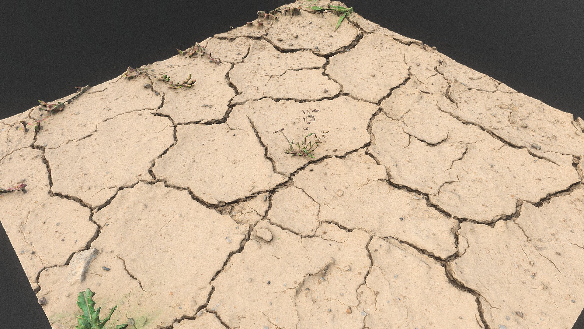 Drought soil desert land with large cracks, dry puddle and small plants

Photogrammetry scan 110x24MP, 16K texture - Drought dry soil desert puddle detail - Buy Royalty Free 3D model by matousekfoto 3d model