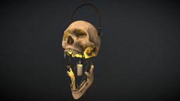 Skull lantern