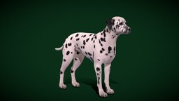 Dalmatian Dog Breed (Game Ready) cute, dog, pet, animals, creatures, mammal, ar, nature, muscular, game-ready, animations, game-asset, dalmatia, dalmatian, canis-lupus, hunting-dog, nyi, nyilonelycompany, noai, dark-colored, anyimals, domestic-animals, dalmatian_dog, croatoa, white-coat, carriage-dog, dalmatian-dog-3d