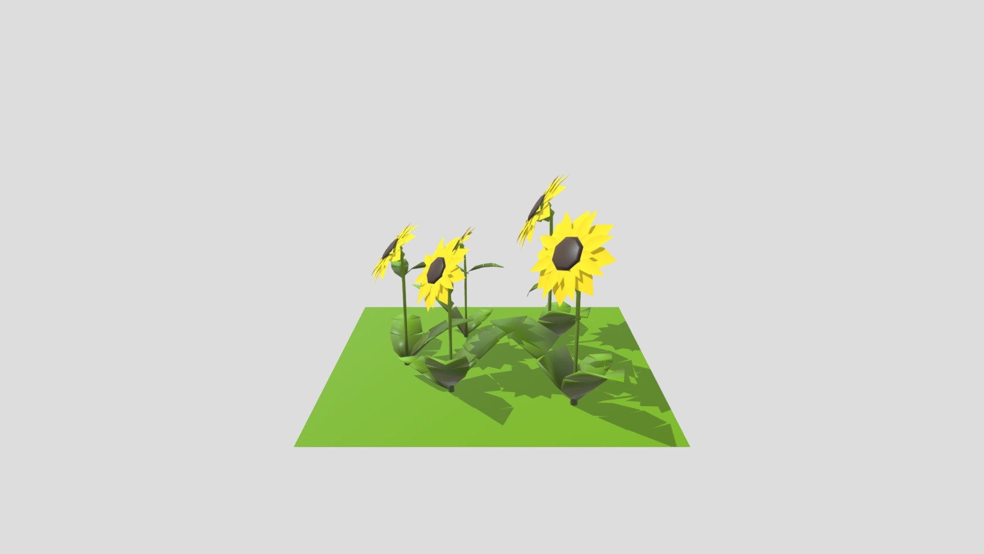 This is a low-poly plant assets (sunflower)
The original file was created using Blender 3.6 3d model