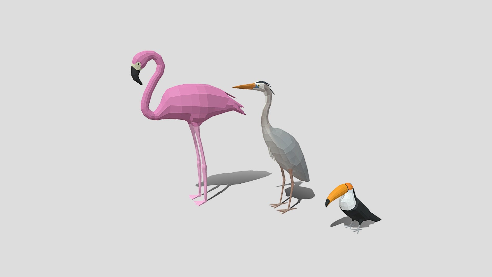 This is a low poly 3d collection of 3 exotic birds. The low poly birds was modeled and prepared for low-poly style renderings, background, general CG visualization presented as 3 meshes with quads only.

Low Poly Toucan Bird Verts : 832 Faces: 830

Low Poly Great Blue Heron Verts : 642 Faces: 634

Low Poly Flamingo Verts : Verts : 708 Faces: 692

PLEASE NOTE The Great Blue Heron has simple diffuse textures and UVMap, the Toucan and the Flamingo have simple diffuse colors.

No rig for all models.

The original files was created in blender. You will receive a 3DS, OBJ, FBX, blend, DAE, STL.

Warning: Depending on which software package you are using, the exchange formats (.obj, .3ds, .dae .fbx) may not match the preview images exactly. Due to the nature of these formats, there may be some textures that have to be loaded by hand and possibly triangulated geometry 3d model