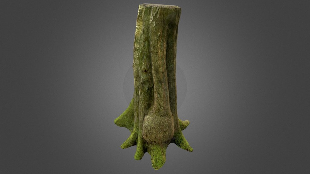 Photogrammetry test of a tree trunk using photos taken on my phone. Cleanup done in ZBrush with textures cleaned up in Photoshop 3d model