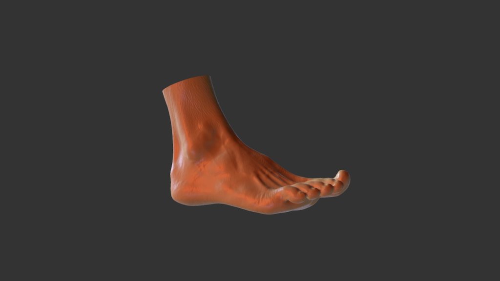 Artec Eva scan of foot, without texture, mzde in one scan. Post processing via Artec Studio Pro 12 Auto Pilot. Cleaning up done manually 3d model