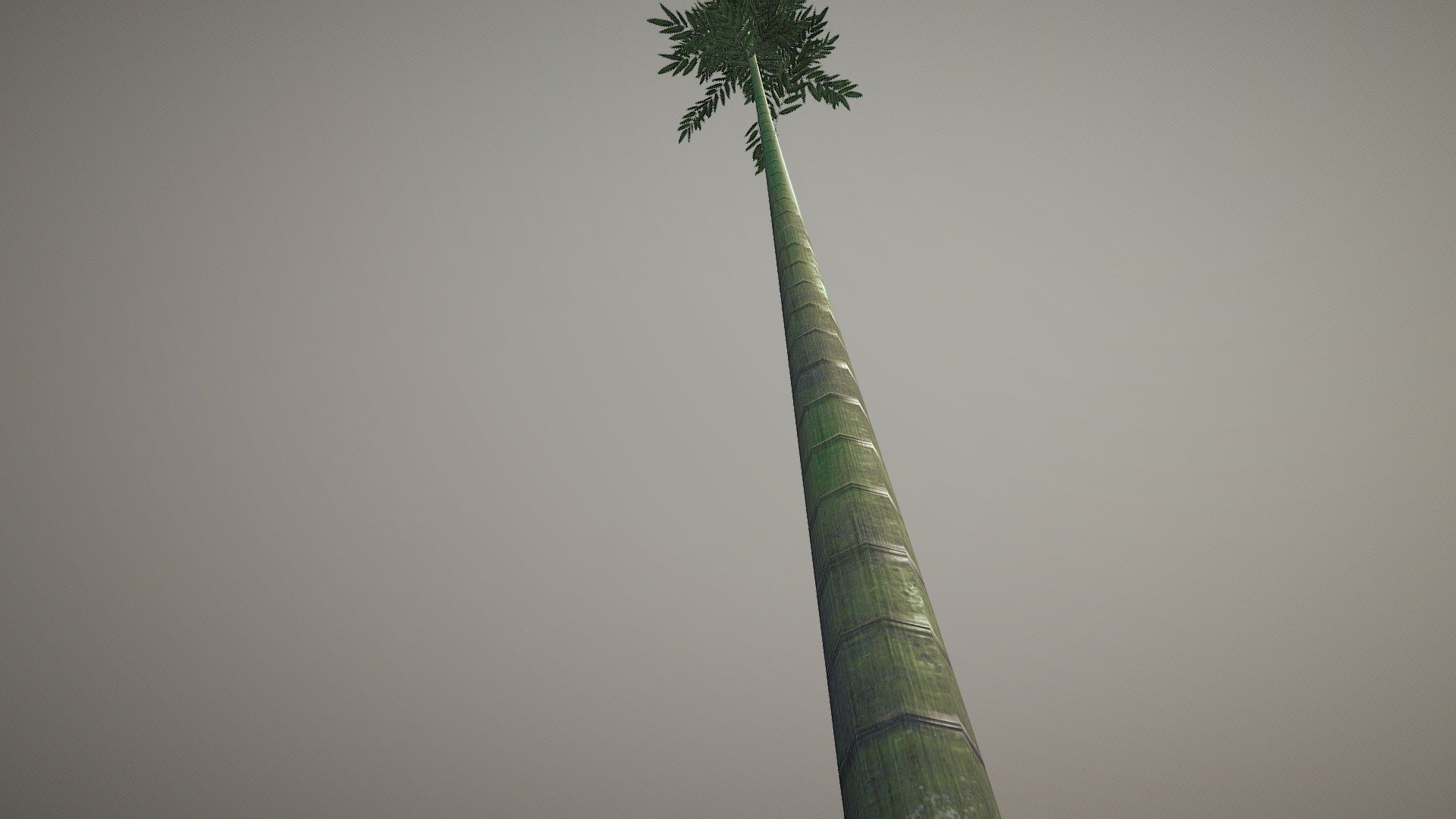 Bamboo tree for my second diorama. We had to make foliage 3d model