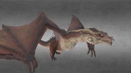 High detailed Dragon Animation running