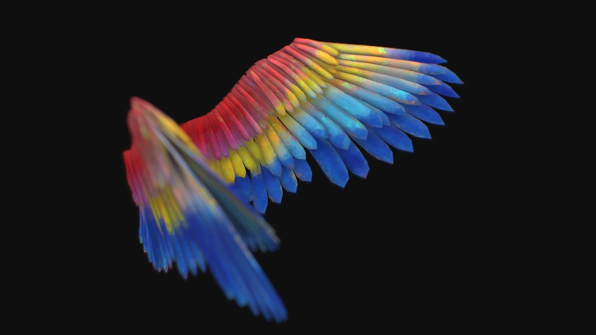 A pair of parrot wings 3d model