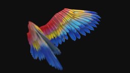 Parrot wings
