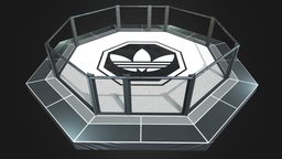 Octagon UFC octagon, ufc, freemodel, sport