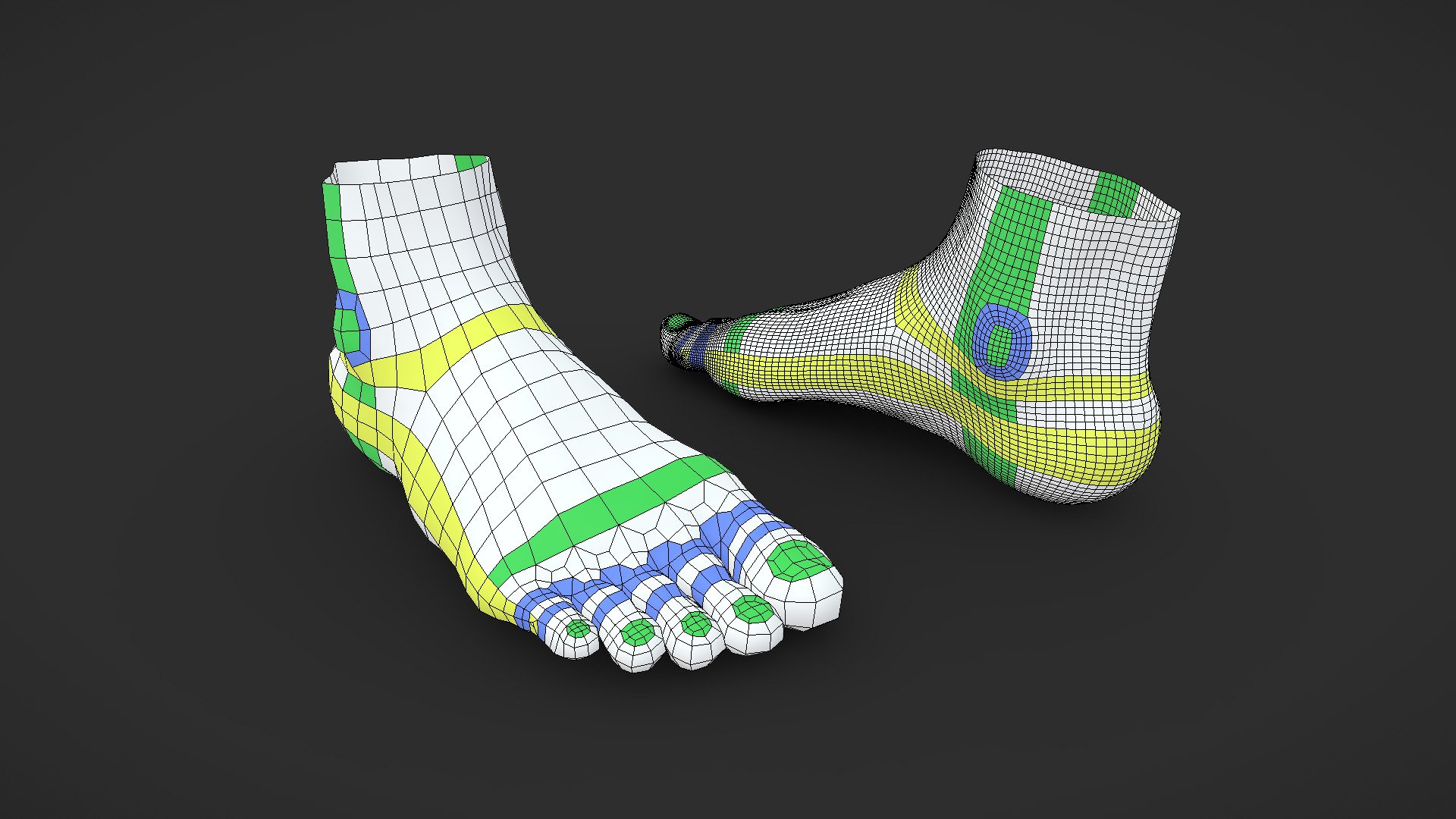 A basic topology demonstration of a typical animation ready human foot model. Also, download is licensed as CC-0, no need to attribute me in your project unless you’re feeling generous 3d model