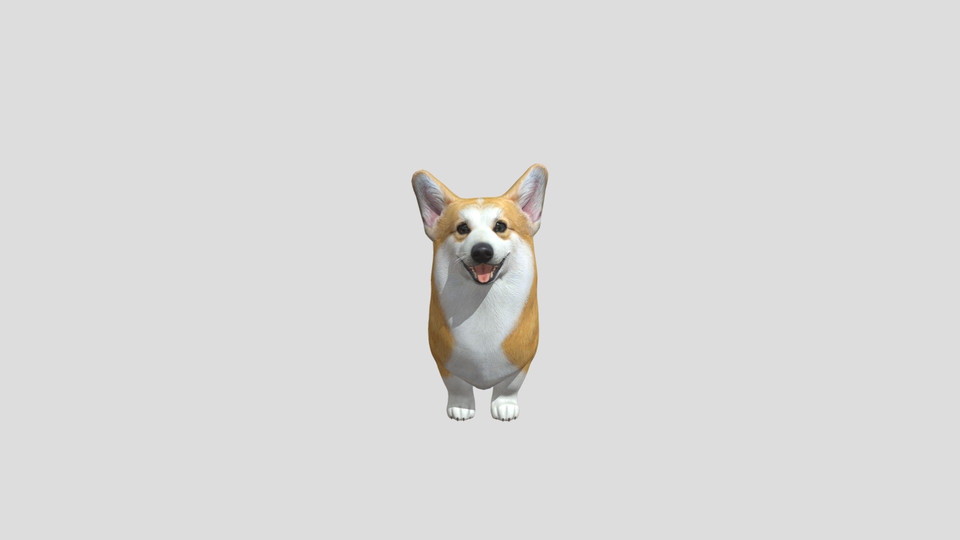 Dog Corgi realistic animal animated pets - Dog Corgi - Buy Royalty Free 3D model by Phil3D (@philosophie) 3d model