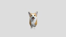 Dog Corgi dog, realistic, pets, corgi, animal, animated, rigged