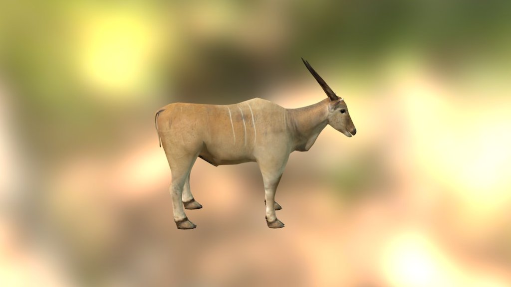 Taurotragus oryx - Taurotragus oryx - 3D model by affifuddin.y.hidayat 3d model