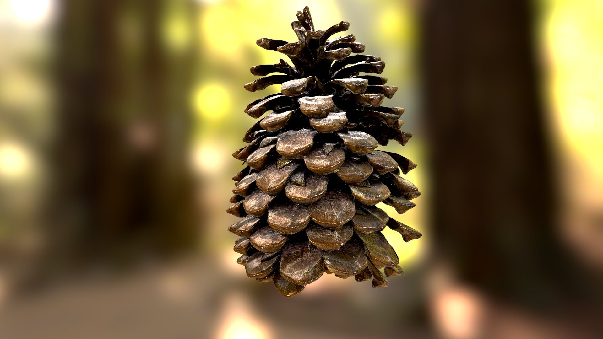 A large pinecone about 5