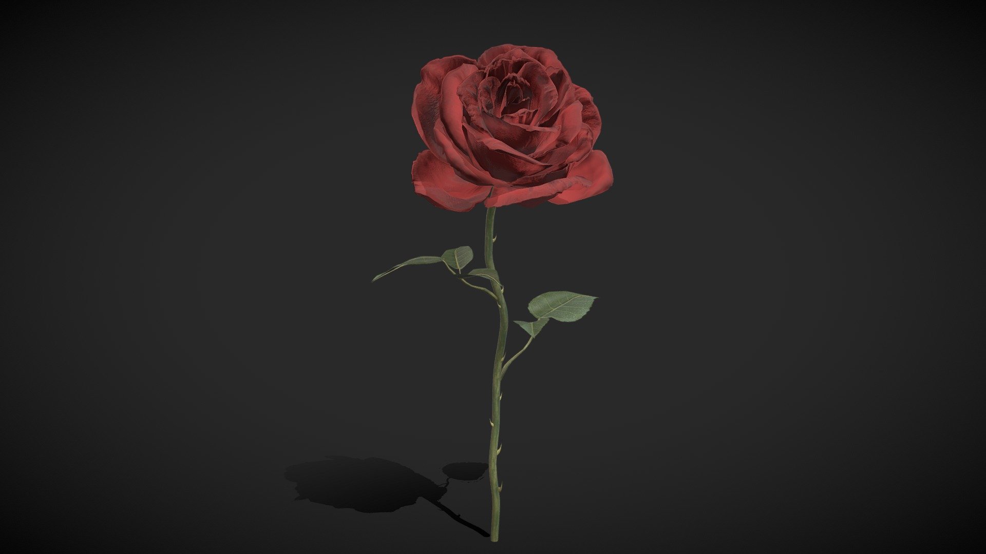 Red Rose - low poly

Triangles: 5.9k
Vertices: 3.4k

4096x4096 PNG texture - Red Rose - low poly - Buy Royalty Free 3D model by Karolina Renkiewicz (@KarolinaRenkiewicz) 3d model