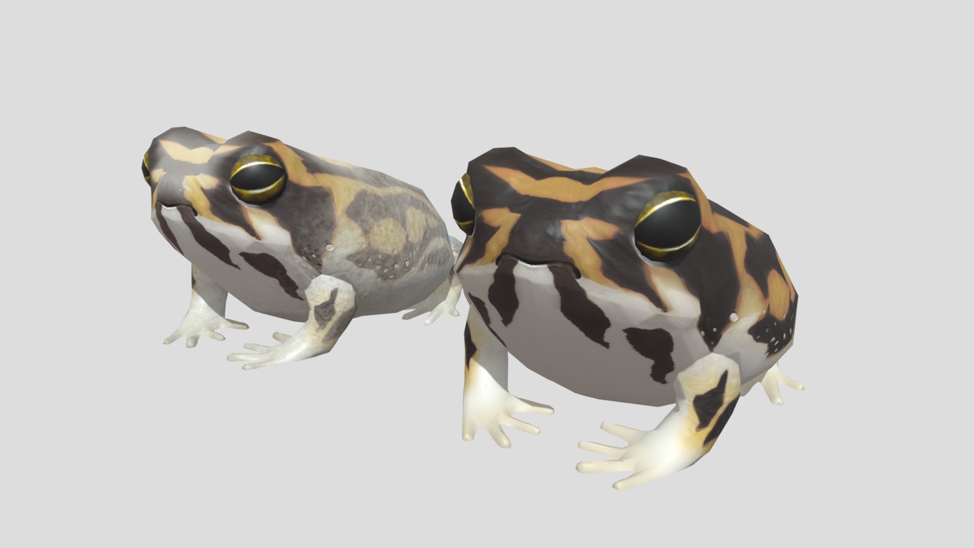 common rain frog
アメフクラガエル - common rain frog アメフクラガエル - 3D model by Mozukui (@redfrogman) 3d model