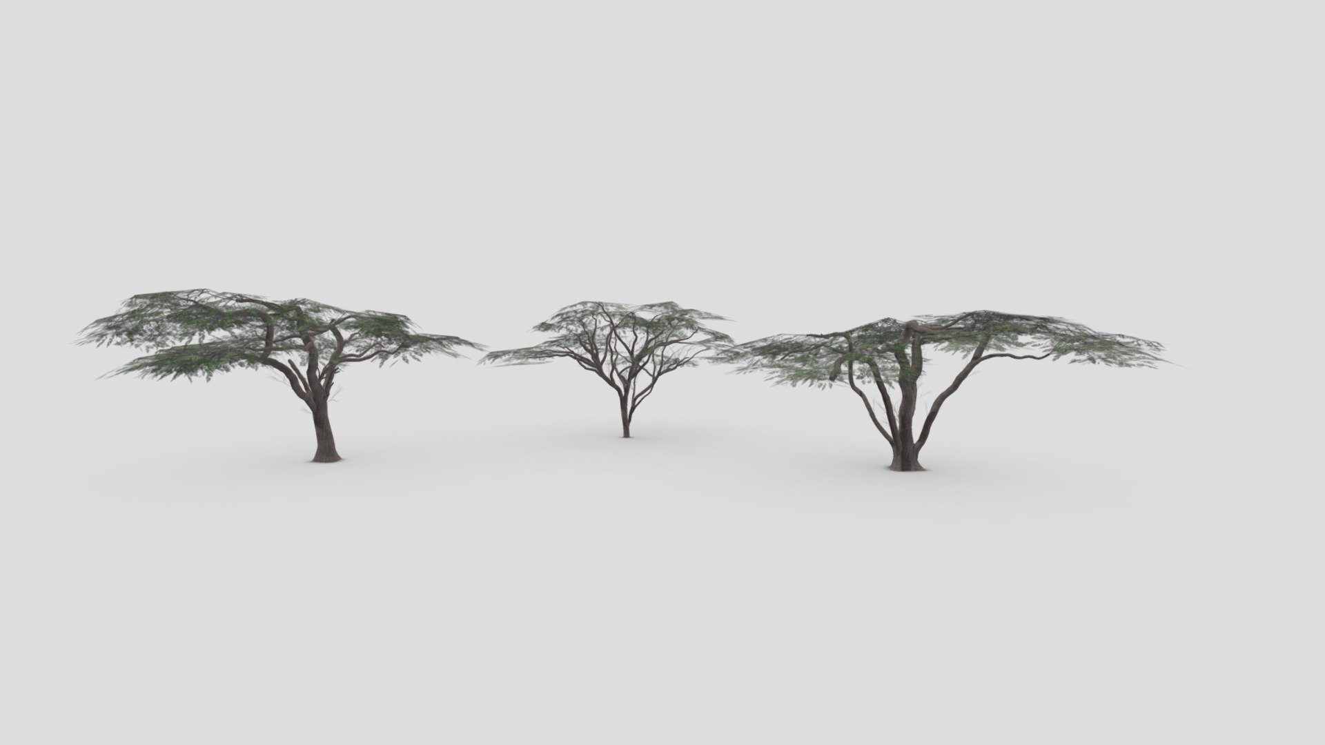 This pack countains about 3 3D low poly models of Acacia Tree. 3 matreials 1024 - African Tree- Pack-05 - Buy Royalty Free 3D model by ASMA3D 3d model