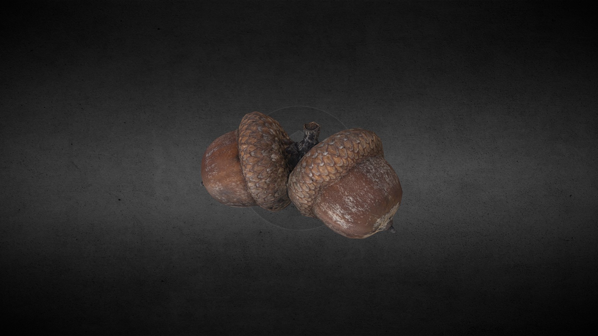 An optimized photogrammetry model of a double acorn. Contains 6k tris model with diffuse, normal and height maps in 4096x4096.

Hey :) My model did help you in your project? Consider buying me a coffee :)
https://ko-fi.com/zygomir - Acorn - Download Free 3D model by Zygomir.Fabricati.Diem (@ZygomirFabricatiDiem) 3d model