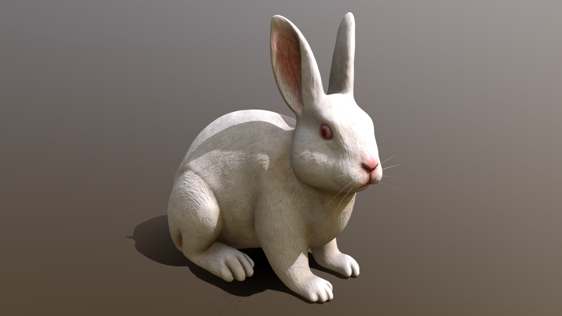 a White rabbit - Rabbit - Download Free 3D model by AIUM2 (@Yapoco) 3d model