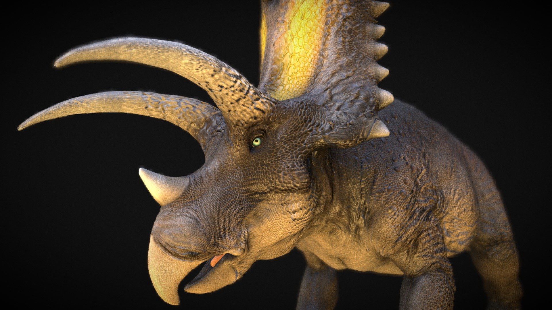 pentaceratops - pentaceratops - Buy Royalty Free 3D model by robertfabiani 3d model