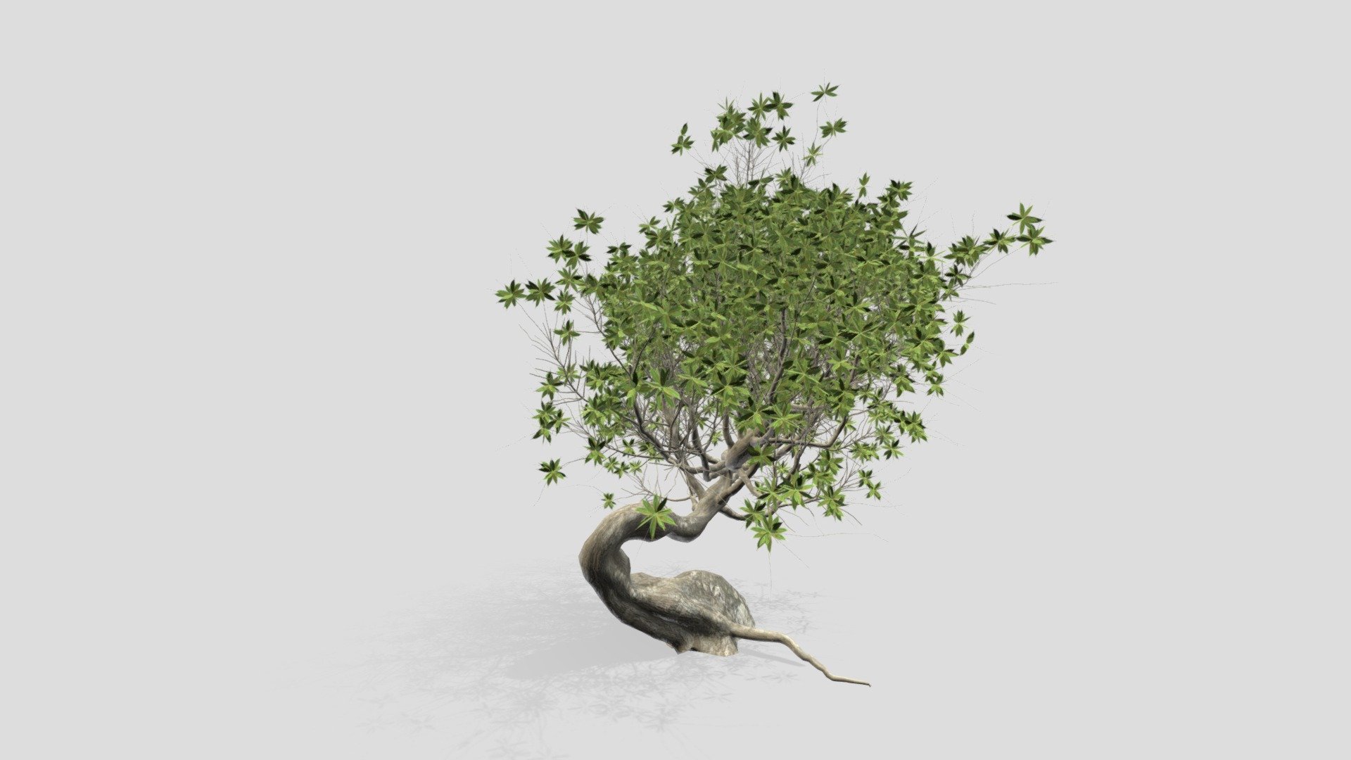 This is my old tree that can be use for our prodcuts. I wish you enjoy it. **I'd like to see your comments ** - OLD TREE - Download Free 3D model by ASMA3D 3d model