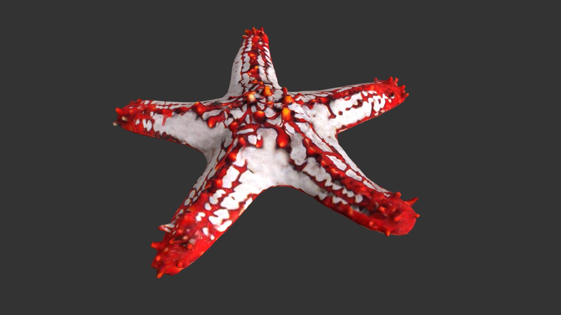 Starfish - 3D model by josluat91 3d model